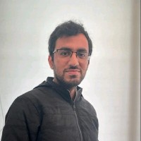 Nitish Kapur