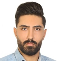 mehrdad gerami