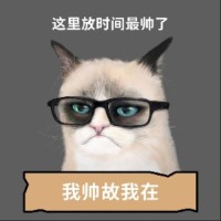 张凯文
