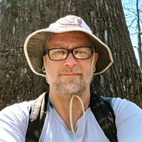 Michael Hollett