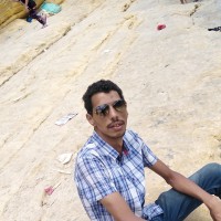 Hisham Nagi