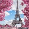 Paris Rivera