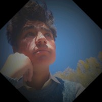 Said Wali