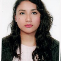 Diana Elizabeth Lemus Flores