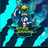 NITRO GAMING