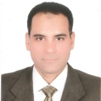 Essam Arafa