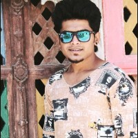 Hardik Visaria