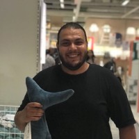 Mohamed Essam