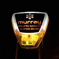 Alistair Murray