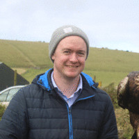 Andrew Stewart