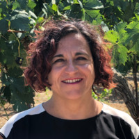 YOLANDA TORAL LLEIDA