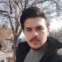 Ali Nafisi