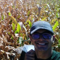 José Raimundo Assunção Caminha