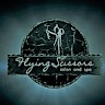 Flying Scissors Salon