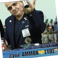 STAVROS ELIODOROU