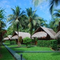Cabinas Coco Loco Lodge