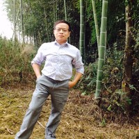 陈平勇