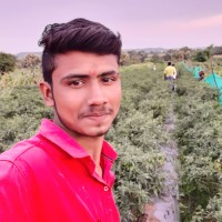 Sandip Shinde Trainee