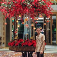 Rabin Das