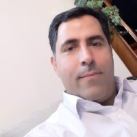 hossein shafiei