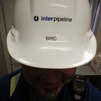 Ron Bird