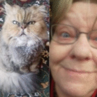 Gill Whitehurst