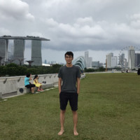 党泽辉