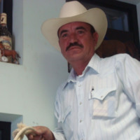 Ing Salgueiro