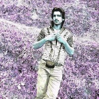 Ali Shan