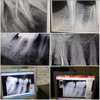 Dr.Anjali S.