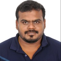 Vignesh P