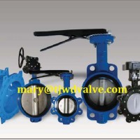 Mary Wei valves Válvulas