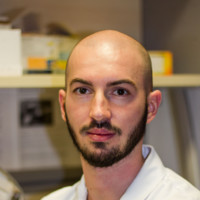 Maxime Lorenzini