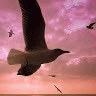 Angel'S Travel And Living