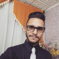 Braytiner Sanches silva