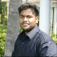 Rajaram M