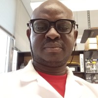 Idowu Oyeleye, Ph.D