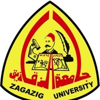 Zagazig University
