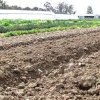 Soilscape Solutions