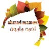 Ahmad mamun