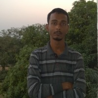 Kaushik Bhowmik