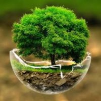 K Leela Raghavendra Sai