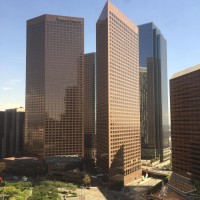 Ronsin Litigation Support