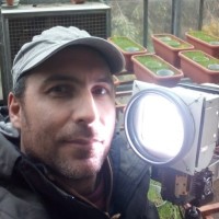 Dario Liberati