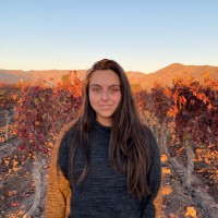 Javiera Ruiz Alvarez