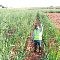 Ivan Carlos