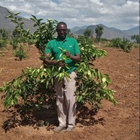 David Tanui