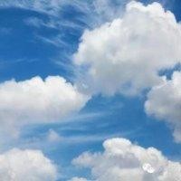 蒋文静