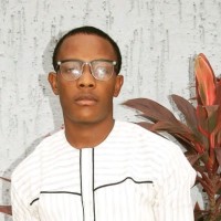 Emmanuel Adebayo, PMP®