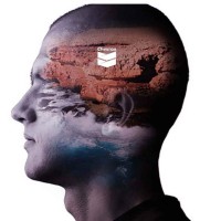 Insight Communication Design